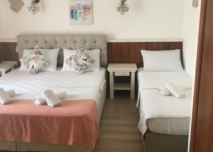 Hotel Ala Anka