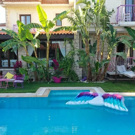 Hotel Ala Anka *